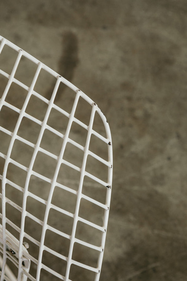 Bertoia Diamond Chair