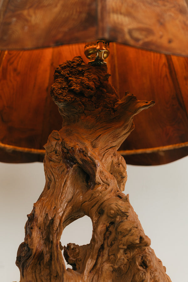 Burl Wood Table Lamp
