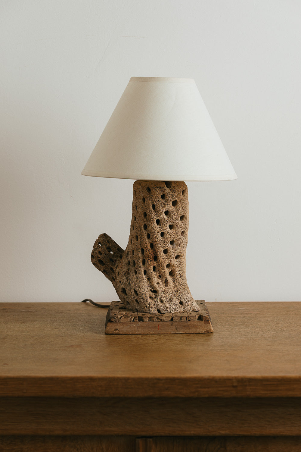 Cholla Cactus Table Lamp