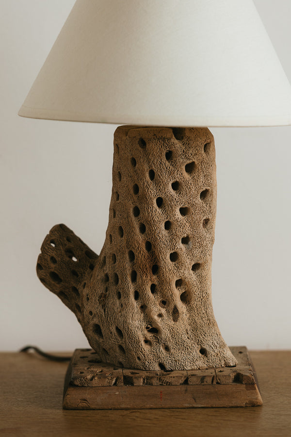 Cholla Cactus Table Lamp