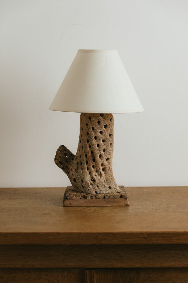 Cholla Cactus Table Lamp