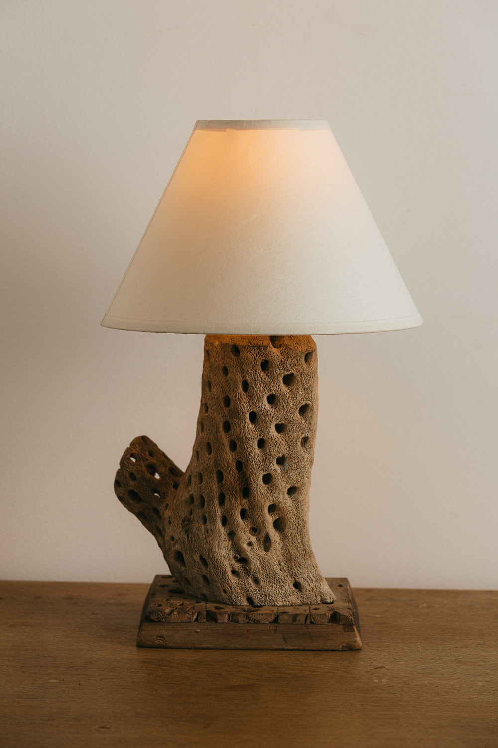 Cholla Cactus Table Lamp