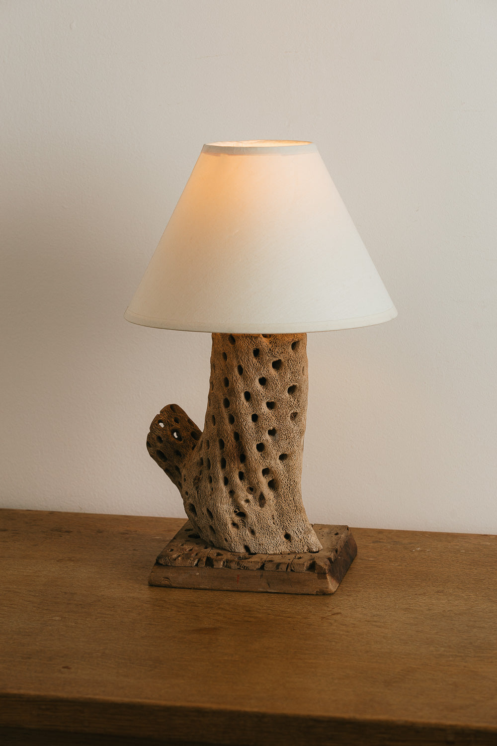 Cholla Cactus Table Lamp